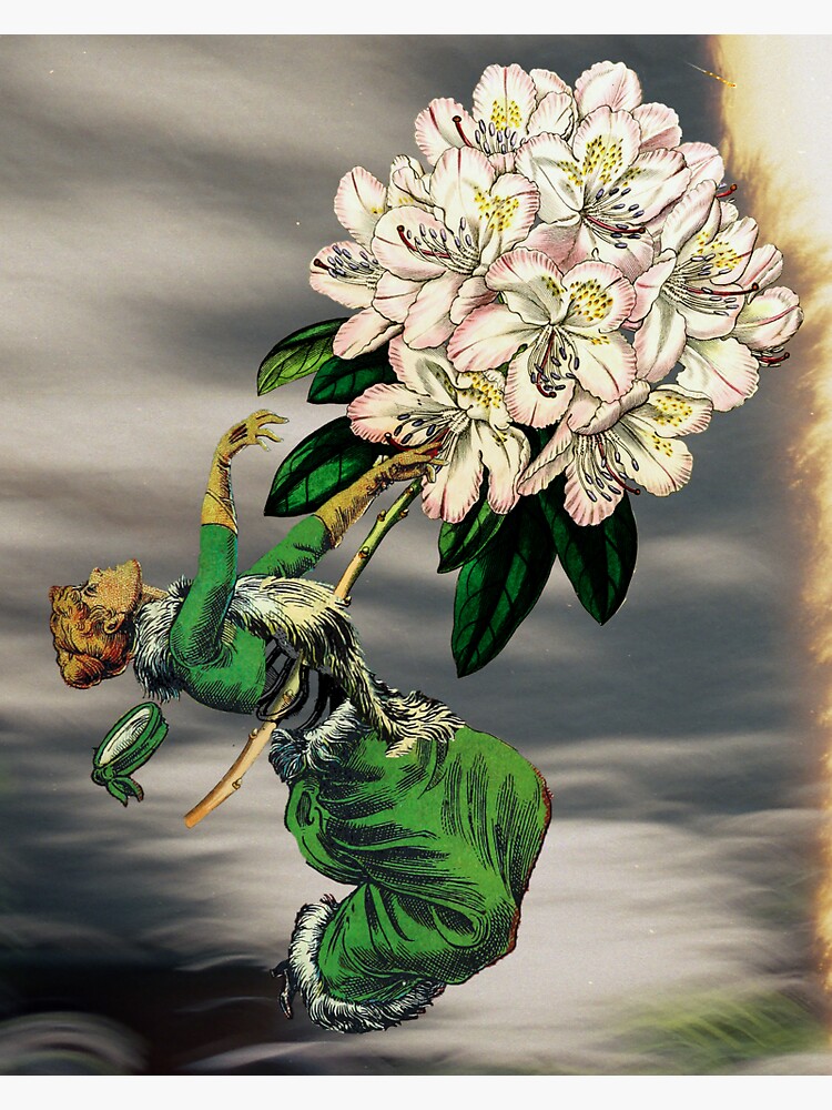 Thumbnail 3 of 3, Sticker, Free Falling designed and sold by WildRootsArt.