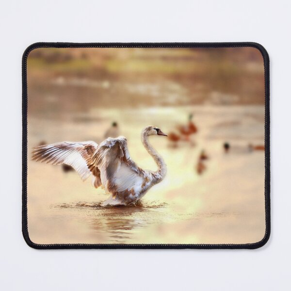Item preview, Cygnet designed and sold by Gouzelka.
