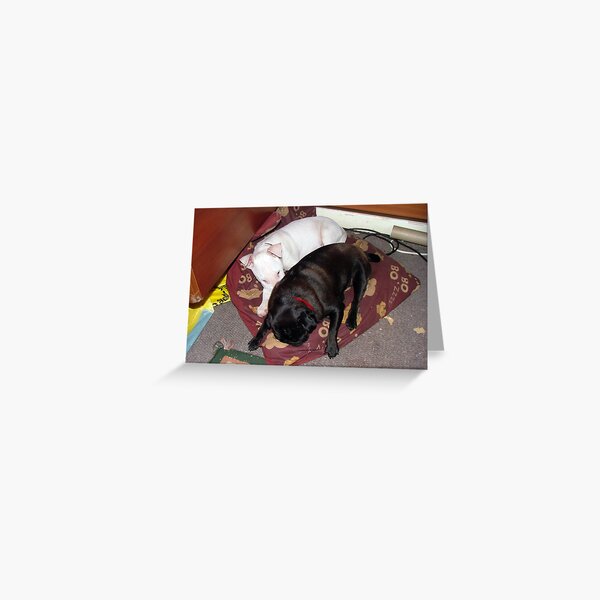 One day I will be bigger than you Nina Greeting Card