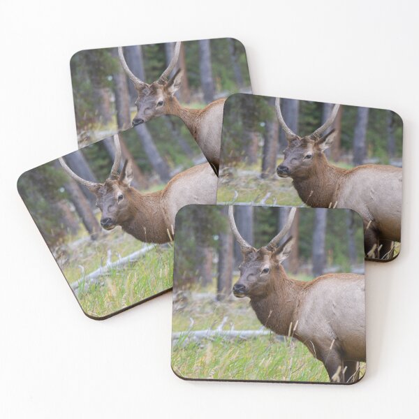Item preview, young elk designed and sold by okomedesign.