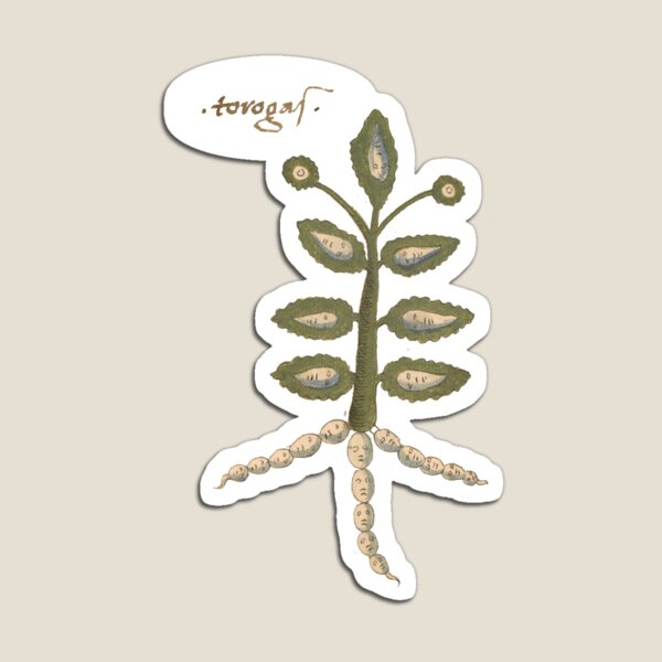 A multi-faced medieval plant Magnet