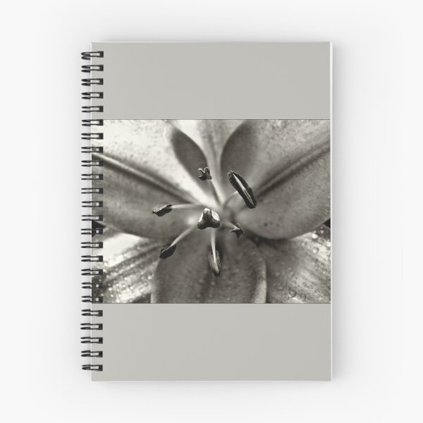 Item preview, Asiatic Lilly  designed and sold by OwlBeDesigning.