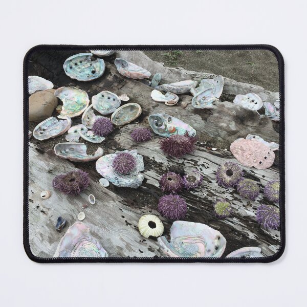 Item preview, Abalone shells designed and sold by Tanyateo.