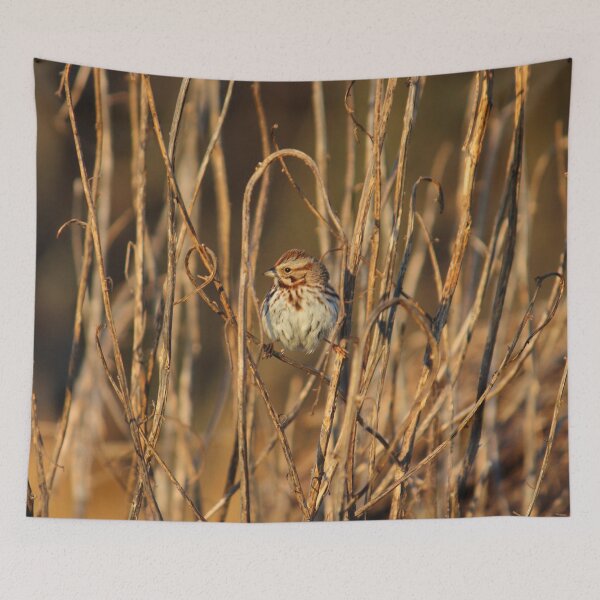 Item preview, Little Brown Bird    |    Nature designed and sold by RedHandedOD.