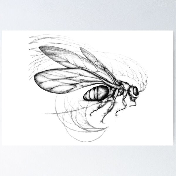 Item preview, Hornet Mid-flight designed and sold by Jasson.