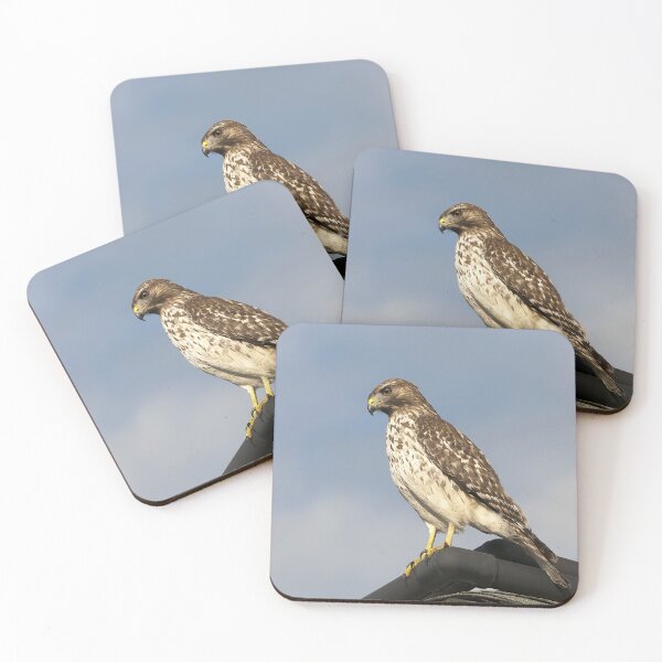 Item preview, Hawk designed and sold by Gouzelka.