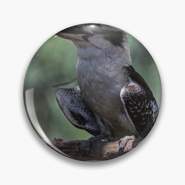 Item preview, Kooky Kookaburra designed and sold by Marylou Badeaux.