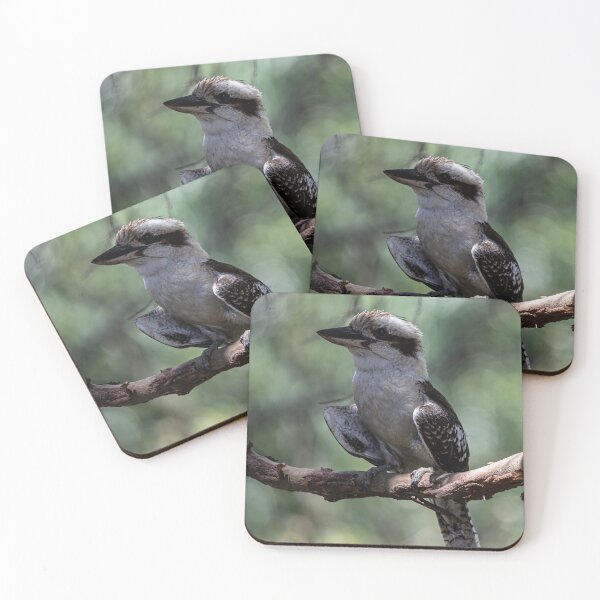 Item preview, Kooky Kookaburra designed and sold by Marylou Badeaux.