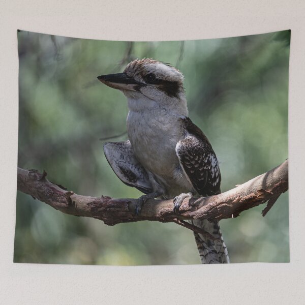 Item preview, Kooky Kookaburra designed and sold by Marylou Badeaux.