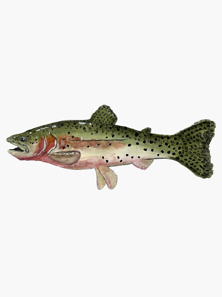 Procreate Rainbow Trout Framed Art Print for Sale by OldDawg