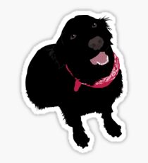 Black Lab Sticker