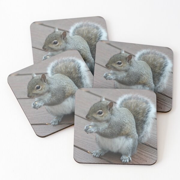 Item preview, eastern gray squirrel  designed and sold by bmiller64.