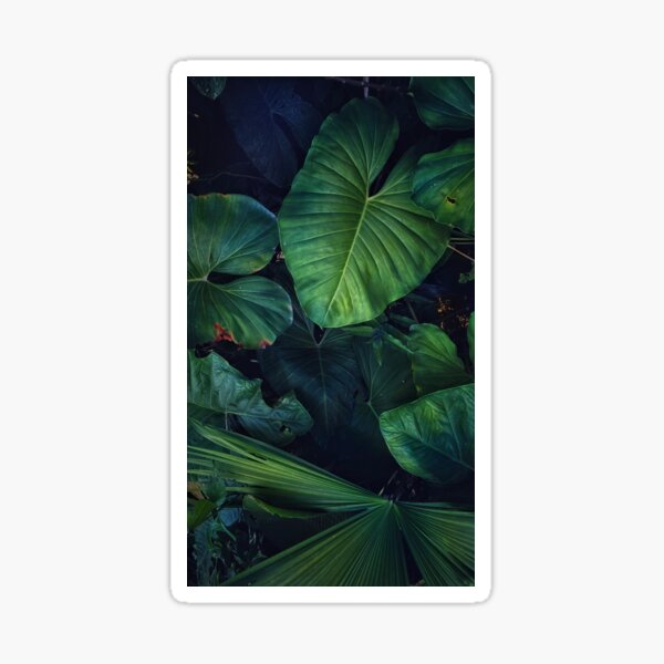 PURE JUNGLE, juicy and lush tropical leaves in the rainforest Sticker