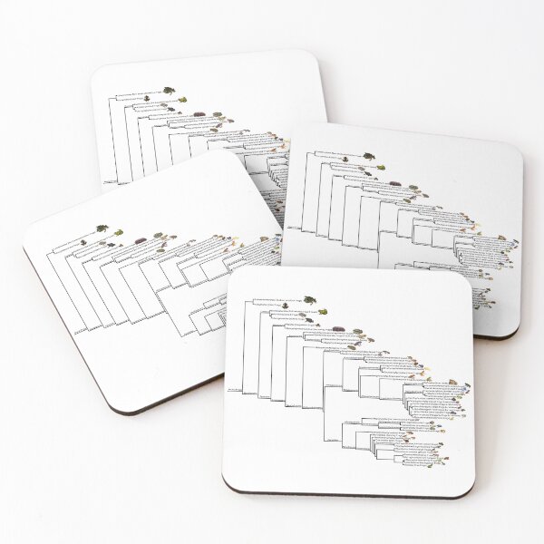 Item preview, Frog Phylogenetic Tree designed and sold by GraceT26.