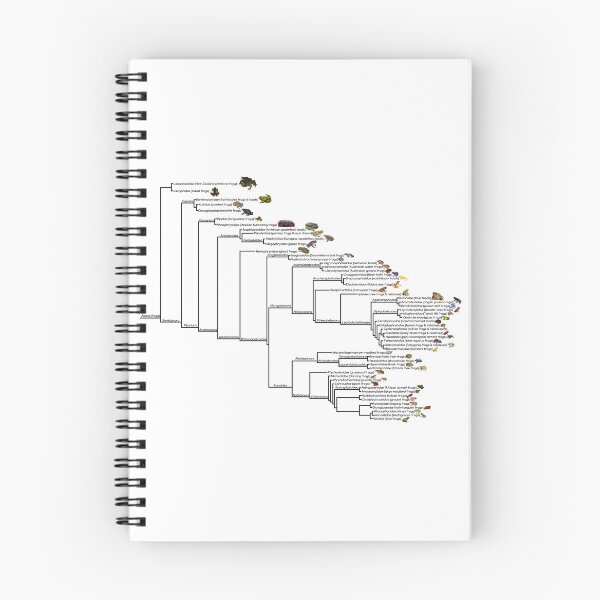 Item preview, Frog Phylogenetic Tree designed and sold by GraceT26.