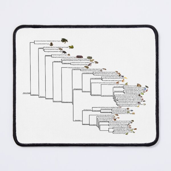 Item preview, Frog Phylogenetic Tree designed and sold by GraceT26.