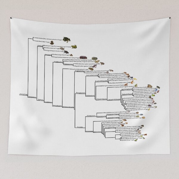 Item preview, Frog Phylogenetic Tree designed and sold by GraceT26.