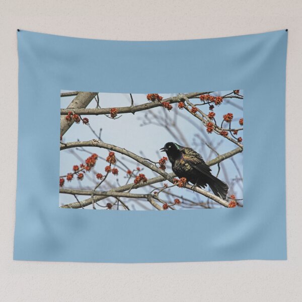 Item preview, Grackle Colors designed and sold by Debbie Oppermann.