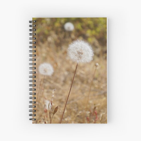 dandelion Spiral Notebook