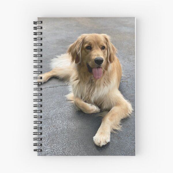 Item preview, Handsome boy  designed and sold by jodi payne.