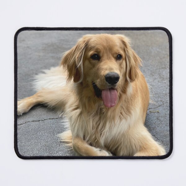 Item preview, Handsome boy designed and sold by jodi payne.