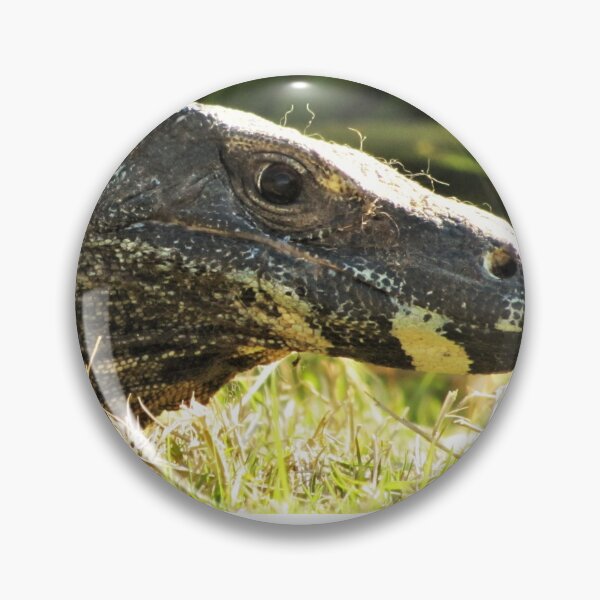Item preview, Goanna designed and sold by David Peake.