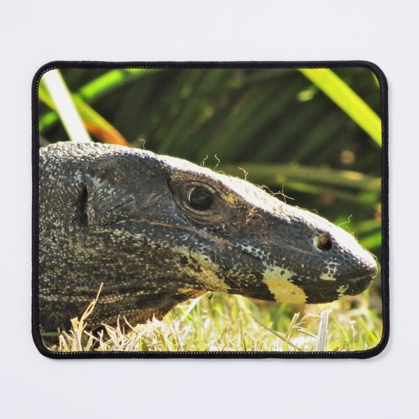 Item preview, Goanna designed and sold by David Peake.