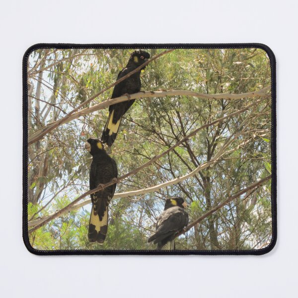 Item preview, Black Cockatoo  designed and sold by David Peake.