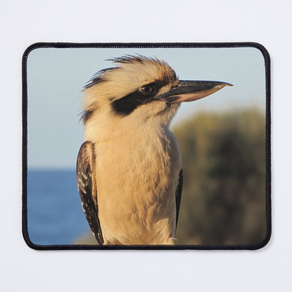 Item preview, Kookaburra  designed and sold by David Peake.