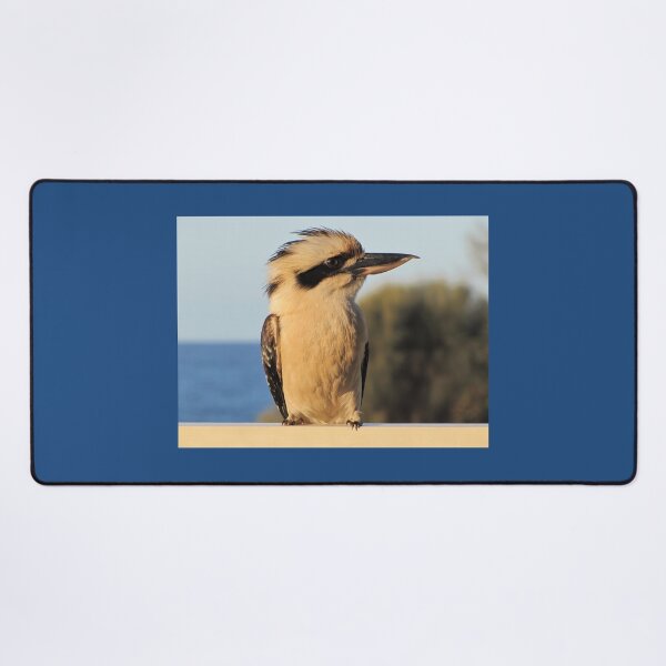 Item preview, Kookaburra designed and sold by David Peake.