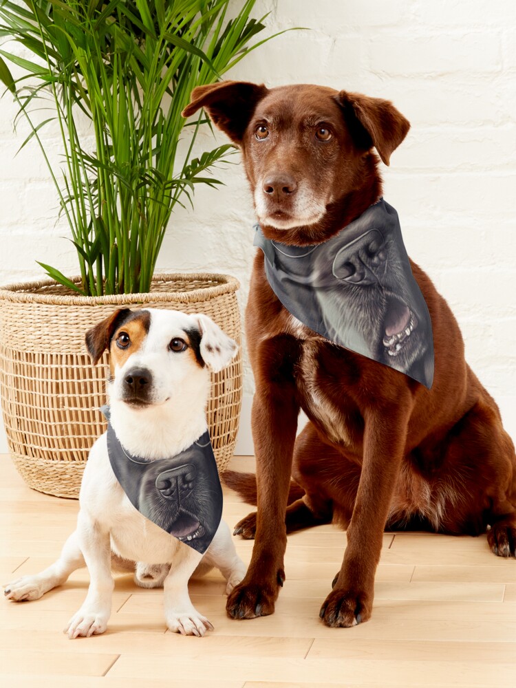 Newfoundland dog hot sale bandana