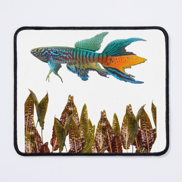 Item preview, Gularis and Cryptocoryne designed and sold by killies.