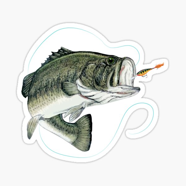 Bass Fishing, Real Largemouth Bass Fish High Quality Bass Fishing Sticker  for Sale by YJHDesign
