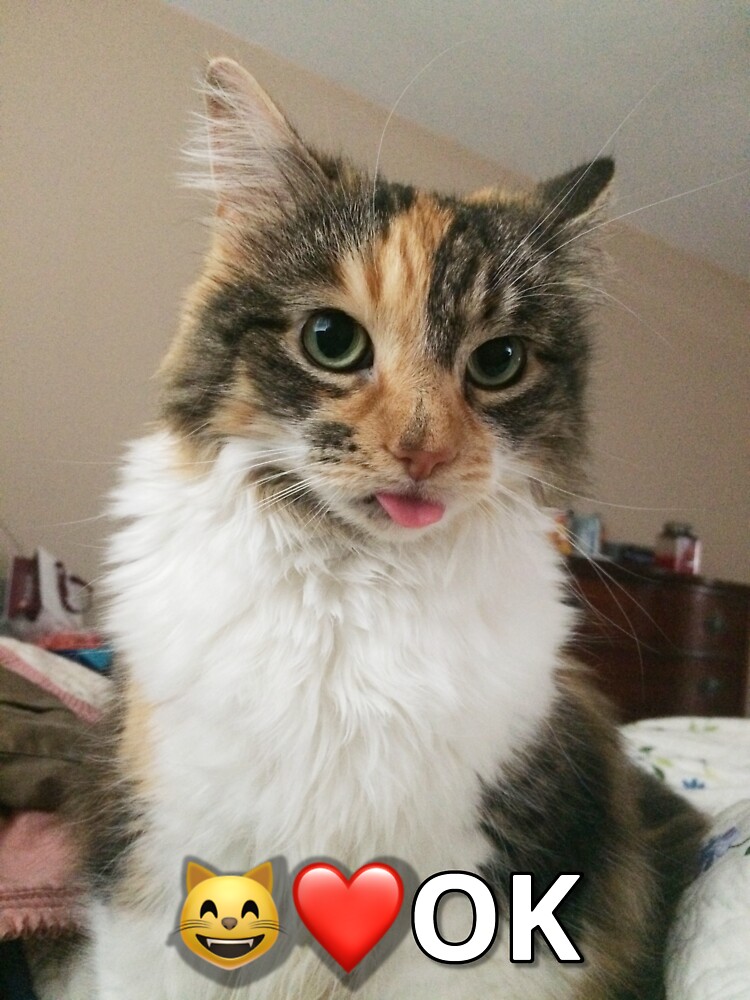 "Silly OK Cat Sticking Her Tongue Out Design" Sticker for Sale by