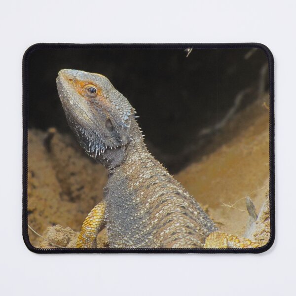 Item preview, Little Scamp designed and sold by David Peake.