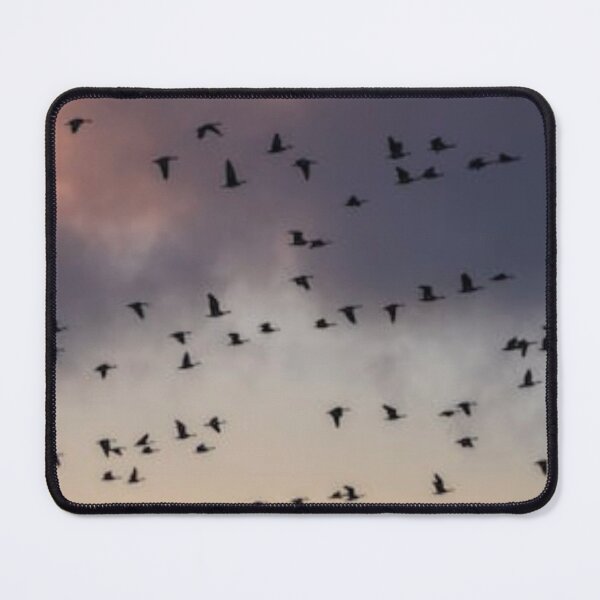 Item preview, Born to be free designed and sold by ArtsOfWonder.