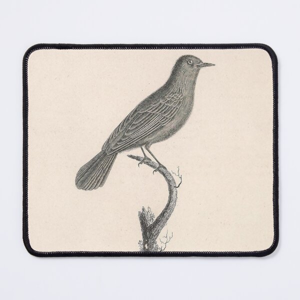 Item preview, The Red Tailed Warbler designed and sold by ptMaker.