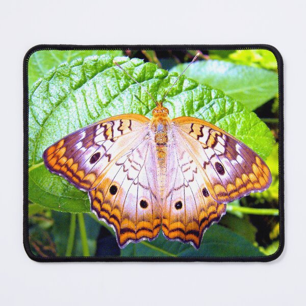 Item preview, White Peacock Butterfly On Leaf designed and sold by What I See by Dawne.