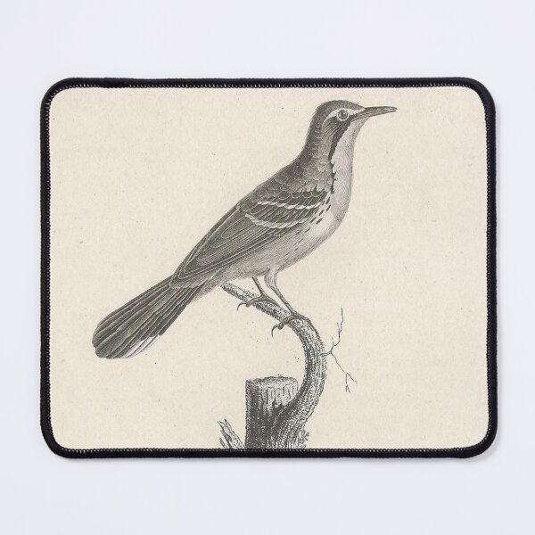Item preview, The Yellow Necked Warbler designed and sold by ptMaker.