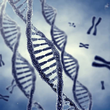 Artwork thumbnail, Genetics by nobeastsofierce