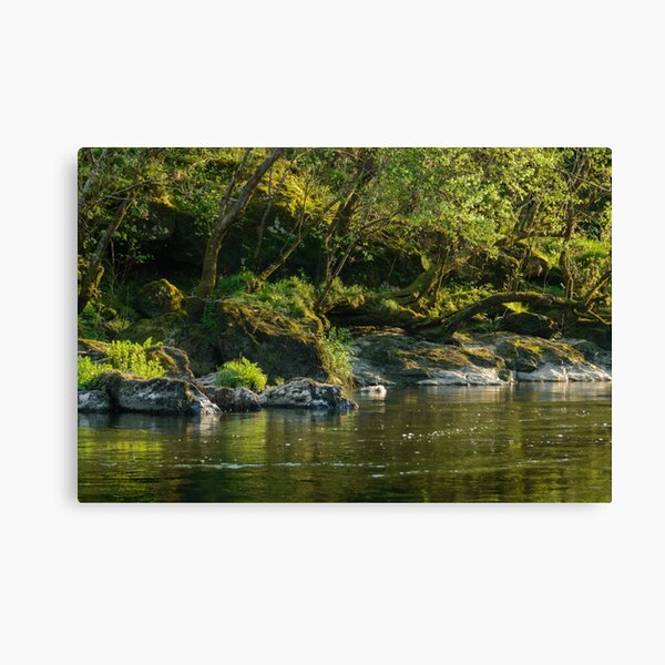 Water flowing Lienzo