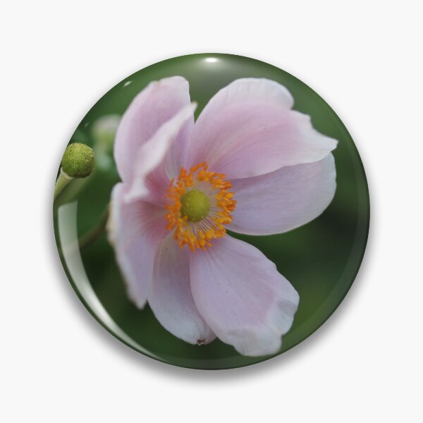 Item preview, Pink Anemone designed and sold by Emmaline Jones.