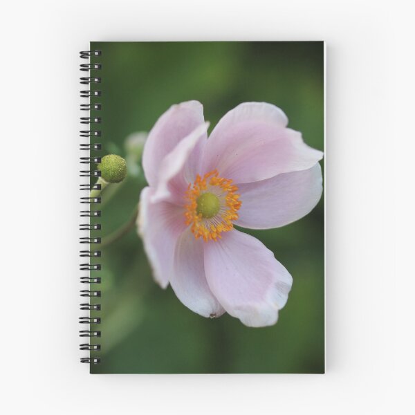 Item preview, Pink Anemone designed and sold by Emmaline Jones.