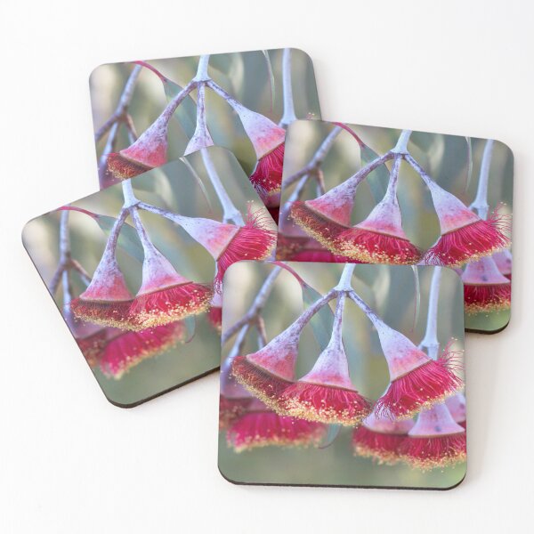 Item preview, Eucalyptus flower cluster designed and sold by Jennene Cathcart.