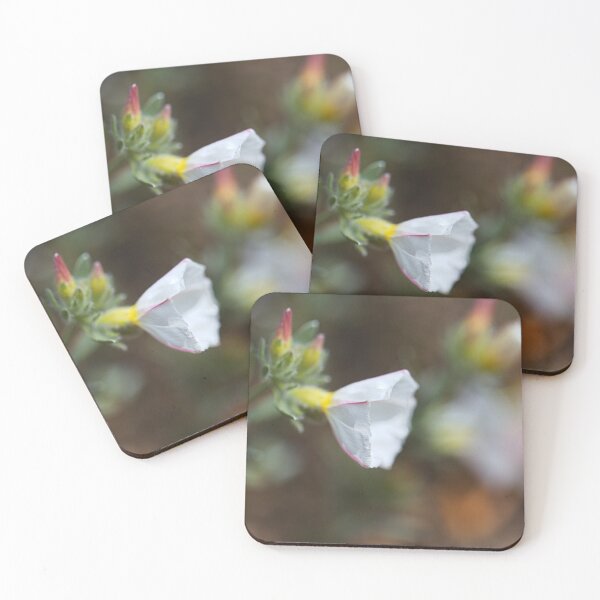 Item preview, Morning Glory Soft White Flower designed and sold by Joy Watson - Natural Light Photography .