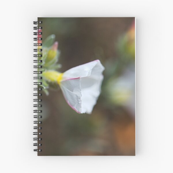 Item preview, Morning Glory Soft White Flower designed and sold by Joy Watson - Natural Light Photography .