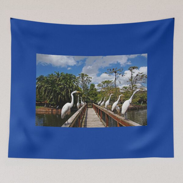 Item preview, Egret Boardwalk designed and sold by Debbie Oppermann.