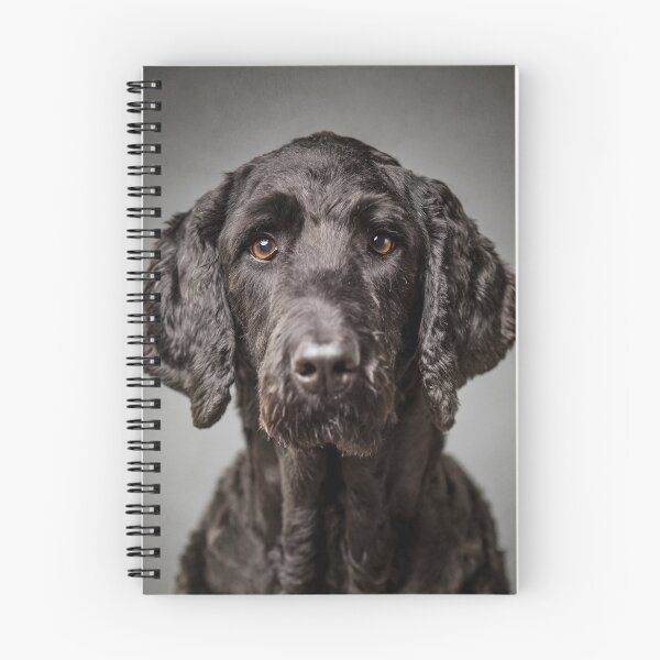 Item preview, Digger labradoodle cushion cover on grey designed and sold by Penel.