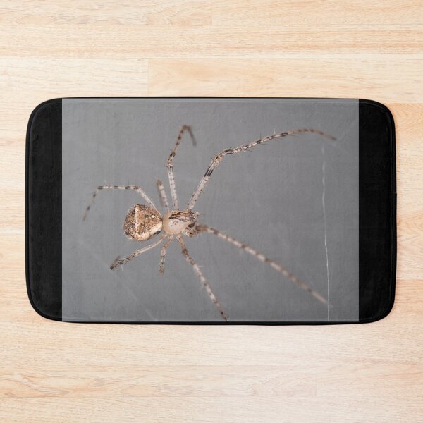 Item preview, Mimetus eutypus spider designed and sold by SDym Photography.