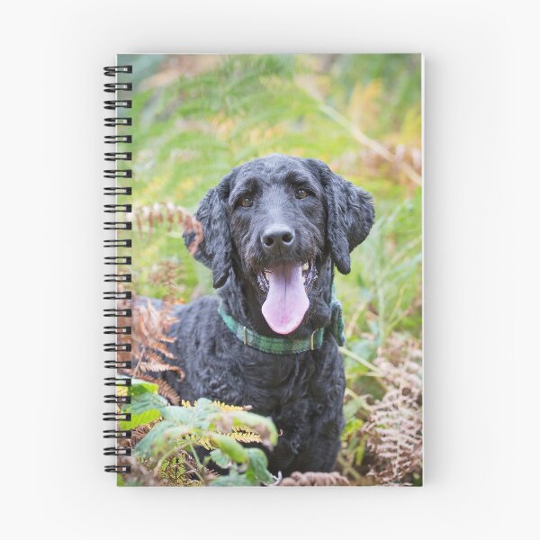 Item preview, Digger labradoodle cushion cover autumn foliage designed and sold by Penel.